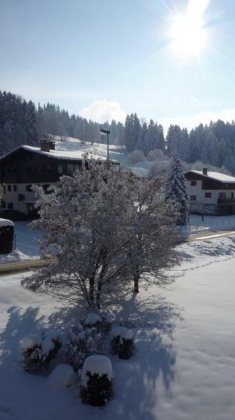 Appartement Du Petit Bois Megève Dış mekan fotoğraf